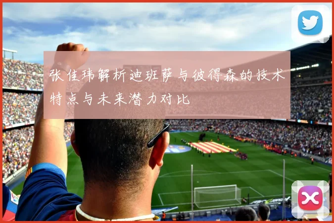 张佳玮解析迪班萨与彼得森的技术特点与未来潜力对比